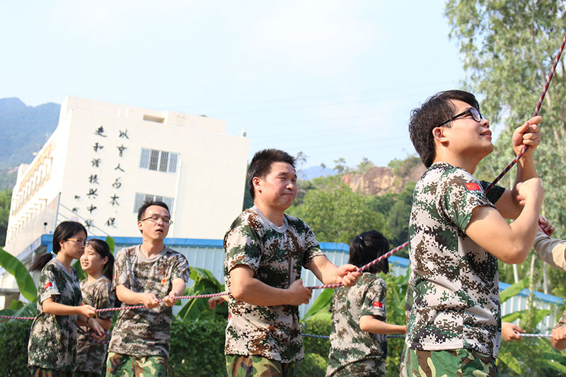 下载4949图库