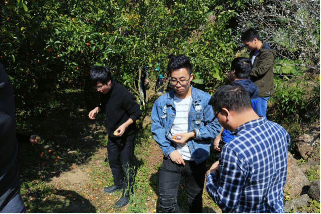 下载4949图库