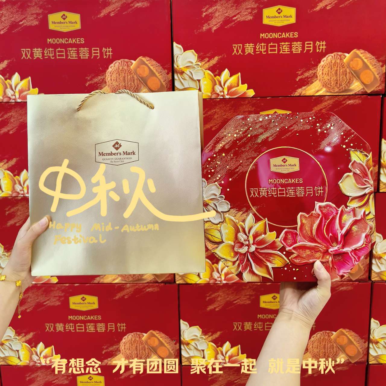 下载4949图库